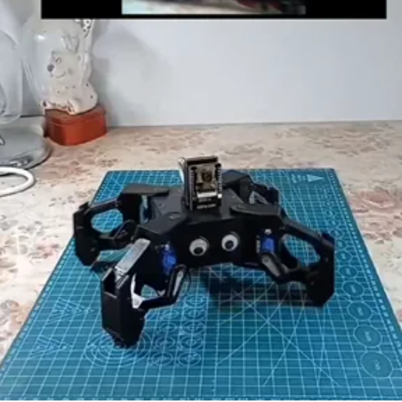 SG90 Video Robot Spider with C - Esp8266 ulasan dan harga